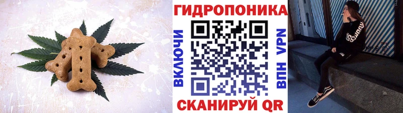 где купить наркоту  Волосово  Canna-Cookies марихуана 