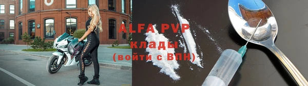 хмурый Белокуриха