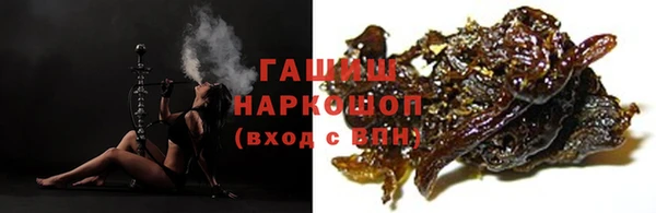 хмурый Белокуриха