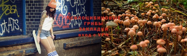 СК Беломорск