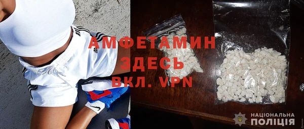 хмурый Белокуриха