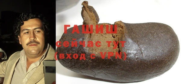хмурый Белокуриха