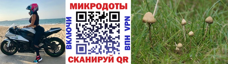 МЕГА tor Волосово Галлюциногенные грибы Cubensis